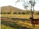 Kilcoy QLD 4515