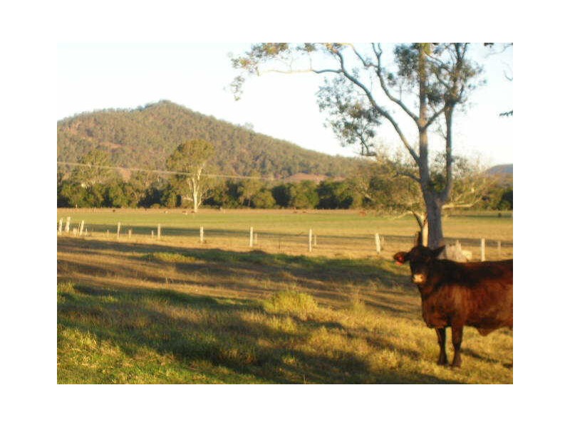 Kilcoy QLD 4515