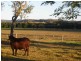 Kilcoy QLD 4515