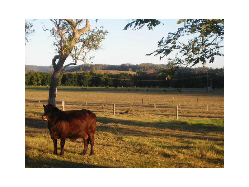 Kilcoy QLD 4515