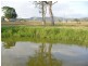 Kilcoy QLD 4515