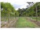 Wamuran QLD 4512