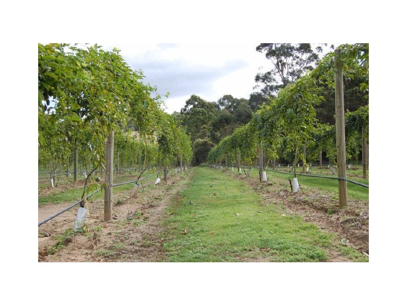 Wamuran QLD 4512