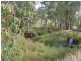 34 Park Drive, Kilcoy QLD 4515