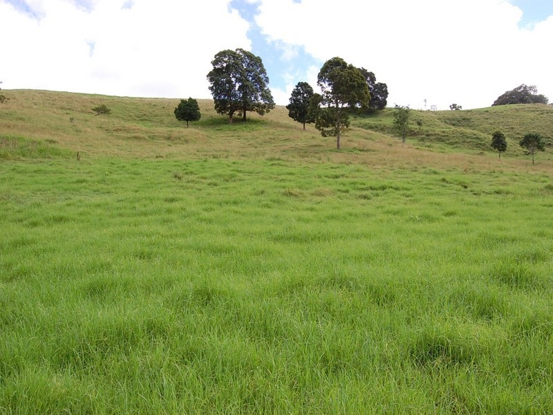 Delaneys Creek QLD 4514