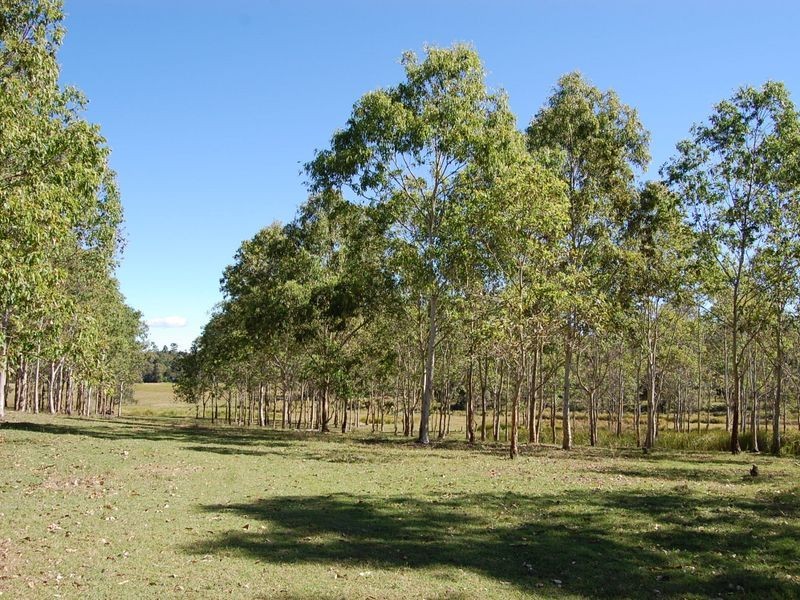 3627 D’Aguilar Hwy, Woodford QLD 4514
