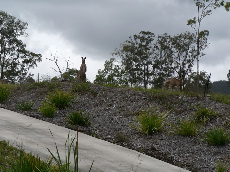 Delaneys Creek QLD 4514