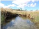 Kilcoy QLD 4515