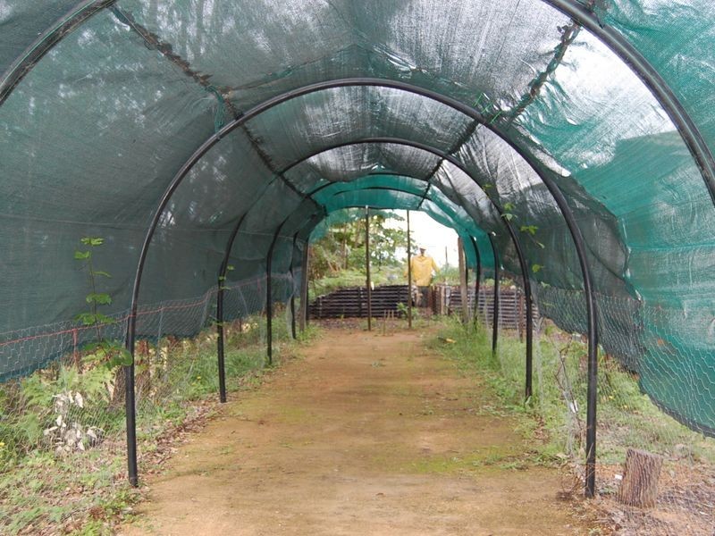 Baroon Pocket QLD 4552