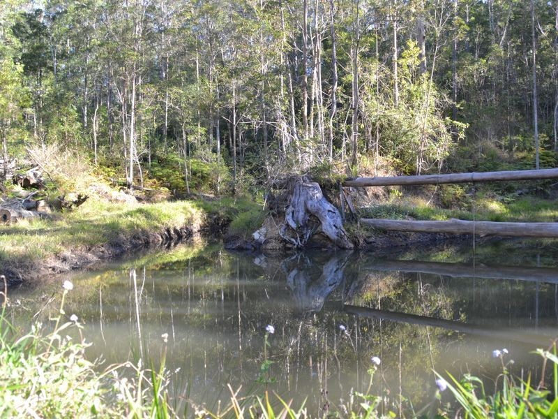 Baroon Pocket QLD 4552