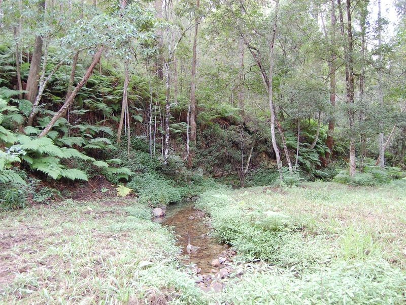 Baroon Pocket QLD 4552