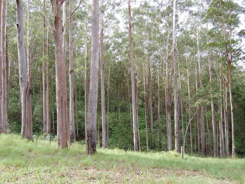 Baroon Pocket QLD 4552