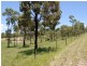 Lot 3 Jenkinson Rd, Bellthorpe QLD 4514