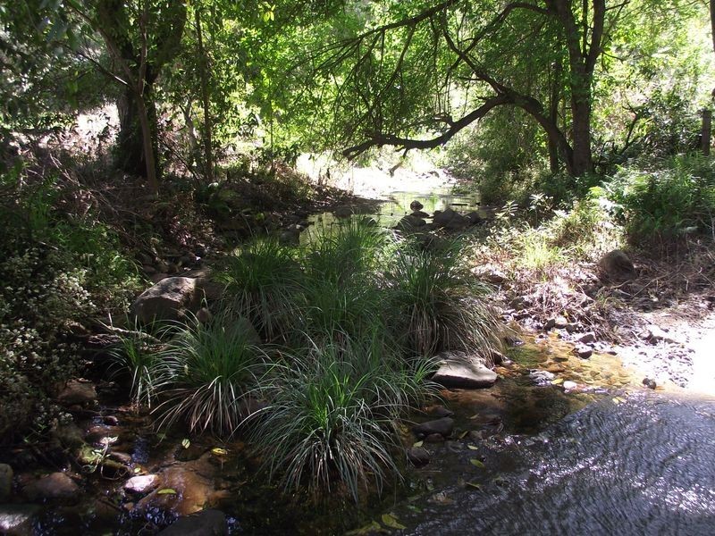 Kilcoy QLD 4515