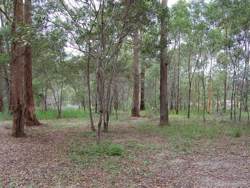 Delaneys Creek QLD 4514