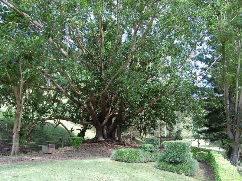 Delaneys Creek QLD 4514