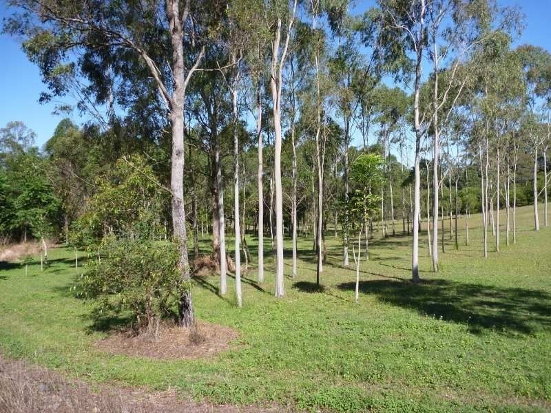 100 Cedarton Drive, Woodford QLD 4514