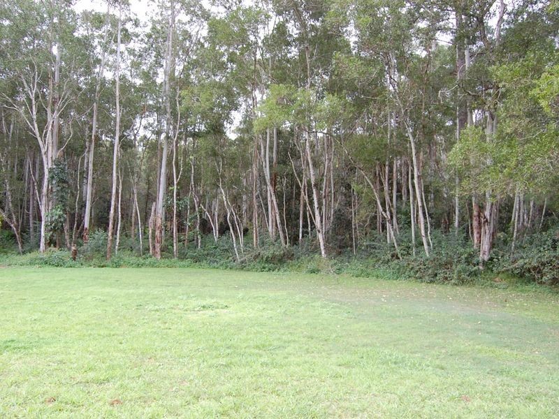 87 Fortune Avenue, Peachester QLD 4519