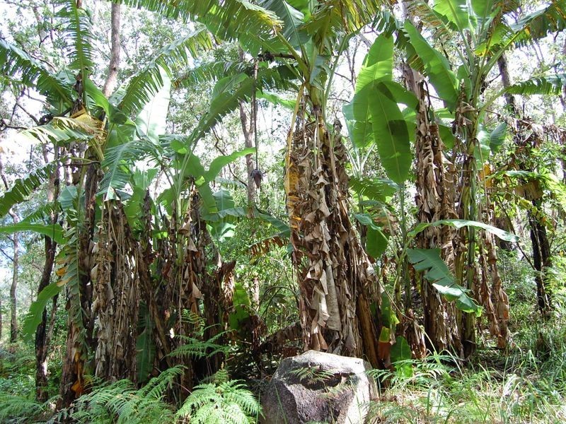 88 Cedarvale Rd, Kilcoy QLD 4515