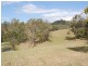 489 Mt Mee Road, Delaneys Creek QLD 4514