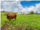 Cedarton QLD 4514