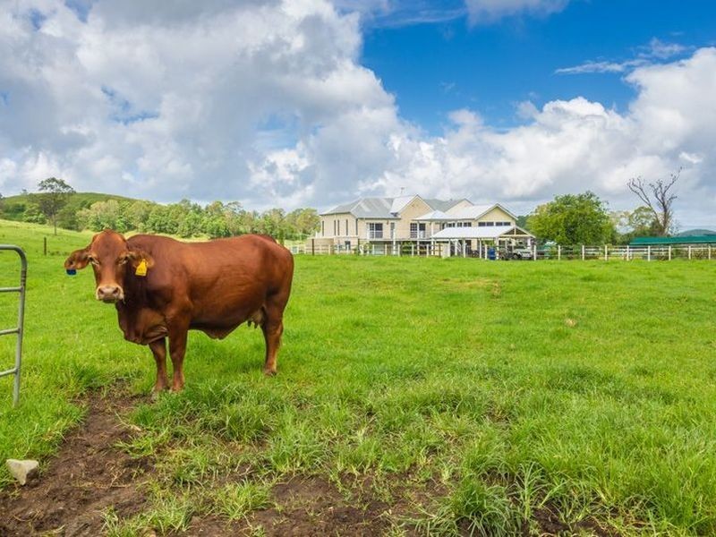 Cedarton QLD 4514