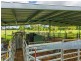 Cedarton QLD 4514