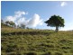 Kilcoy QLD 4515
