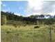 Kilcoy QLD 4515