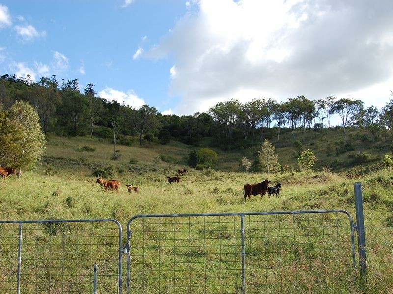 Kilcoy QLD 4515