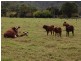 Kilcoy QLD 4515