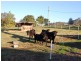 Kilcoy QLD 4515