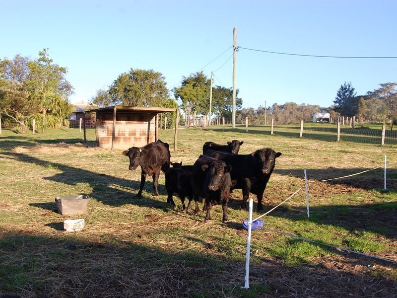 Kilcoy QLD 4515