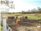 Kilcoy QLD 4515