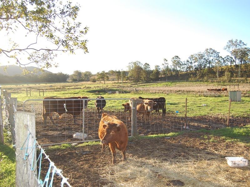 Kilcoy QLD 4515
