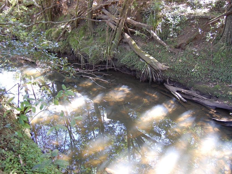 17 Florence Lane, Mount Mee QLD 4521