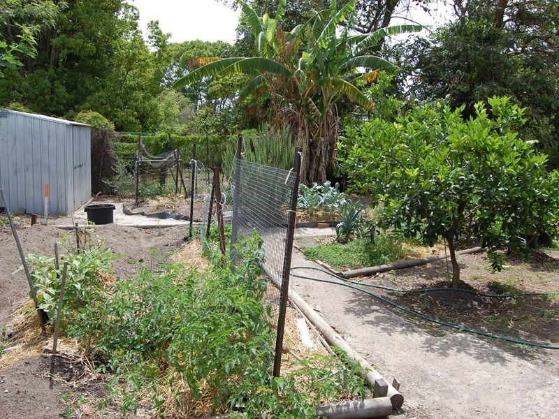 36 George Street, Woodford QLD 4514