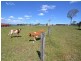 Kilcoy QLD 4515