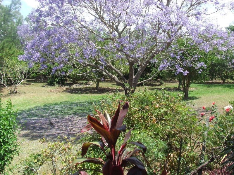 Wamuran QLD 4512