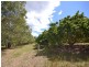 Wamuran QLD 4512
