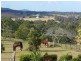 Woodford QLD 4514