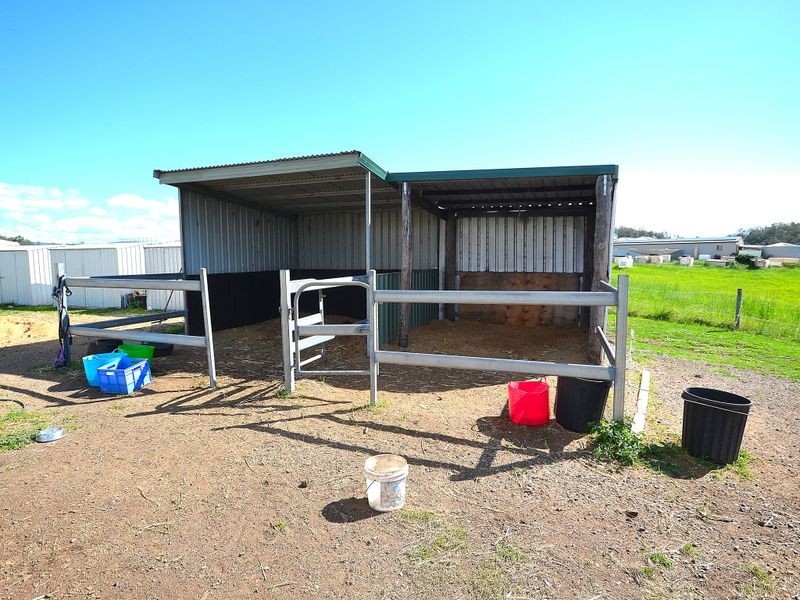 41 Park Drive, Woodford QLD 4514