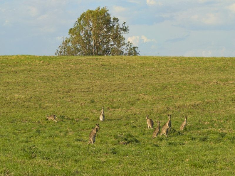Pine Tree Hill Estate, Kilcoy QLD 4515
