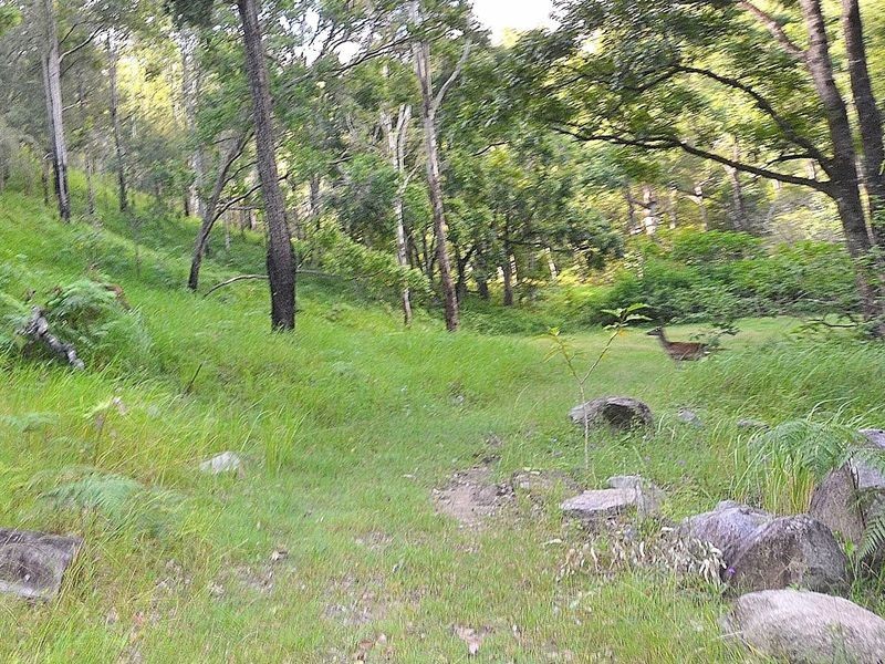 36 Cedarvale Road, Sandy Creek QLD 4515