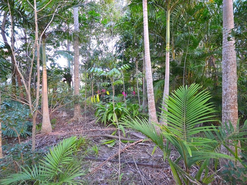 12 -16 Kauri Court, Woodford QLD 4514