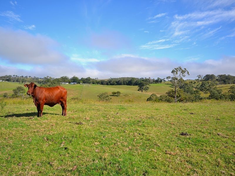 37 Settlement Road, Mount Mee QLD 4521