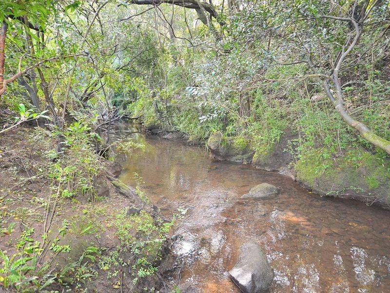 37 Settlement Road, Mount Mee QLD 4521