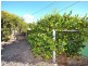 18 Colin Street, Moore QLD 4306