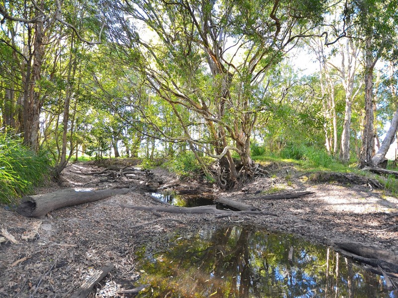 35 Archer Street, Woodford QLD 4514