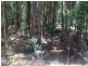 Woodford QLD 4514